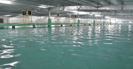 內陸水產養殖產業升級 上百家“水產養殖工廠”因環保門檻遭清退的啟示